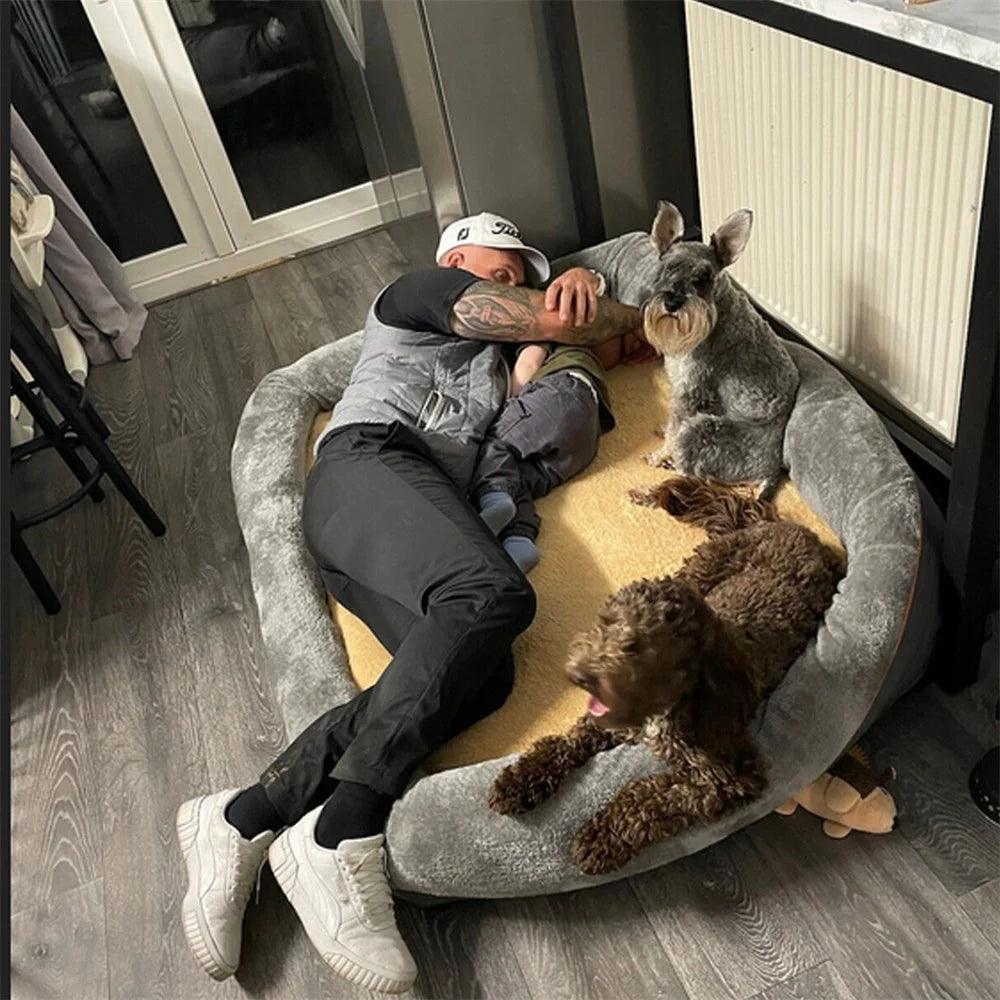 Orthopaedic Memory Foam Dog Bed